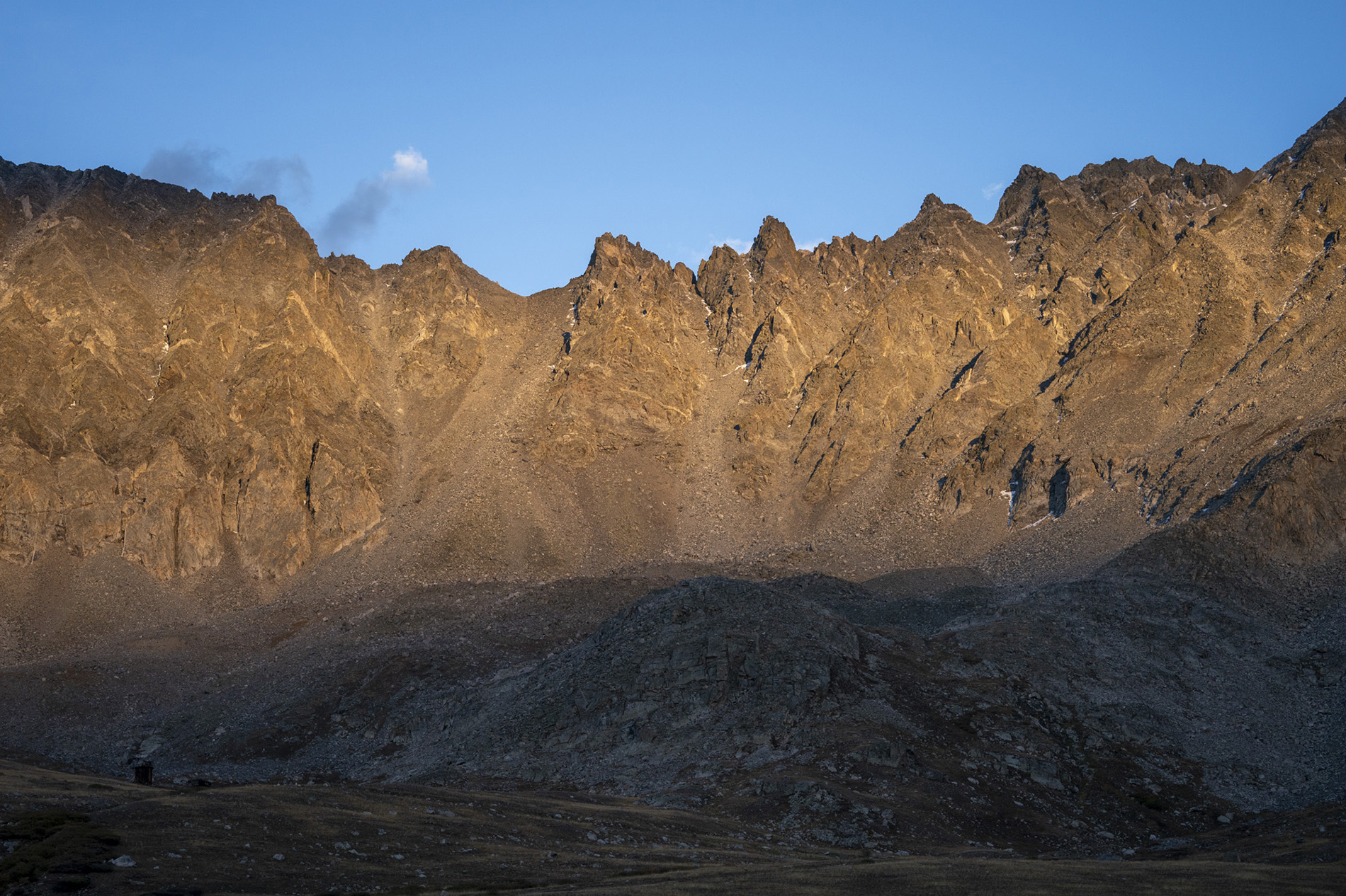 oct_dl_2959